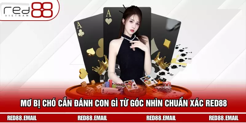 Mơ Bị Chó Cắn Đánh Con Gì Từ Góc Nhìn Chuẩn Xác RED88 Mơ Bị Chó Cắn Đánh Con Gì Từ Góc Nhìn Chuẩn Xác RED88